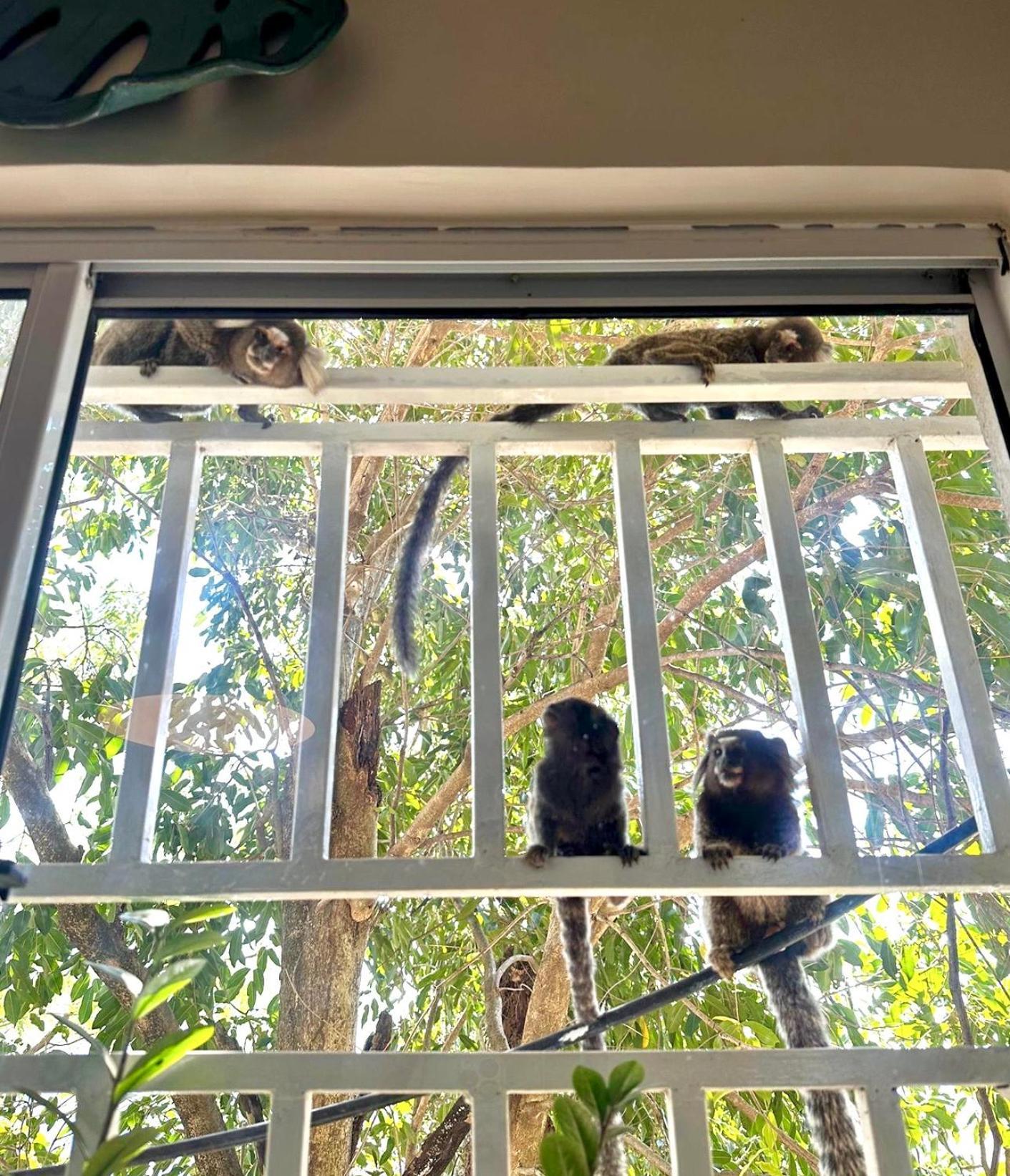 Hospedagem domiciliar Spacious At Casa Danni